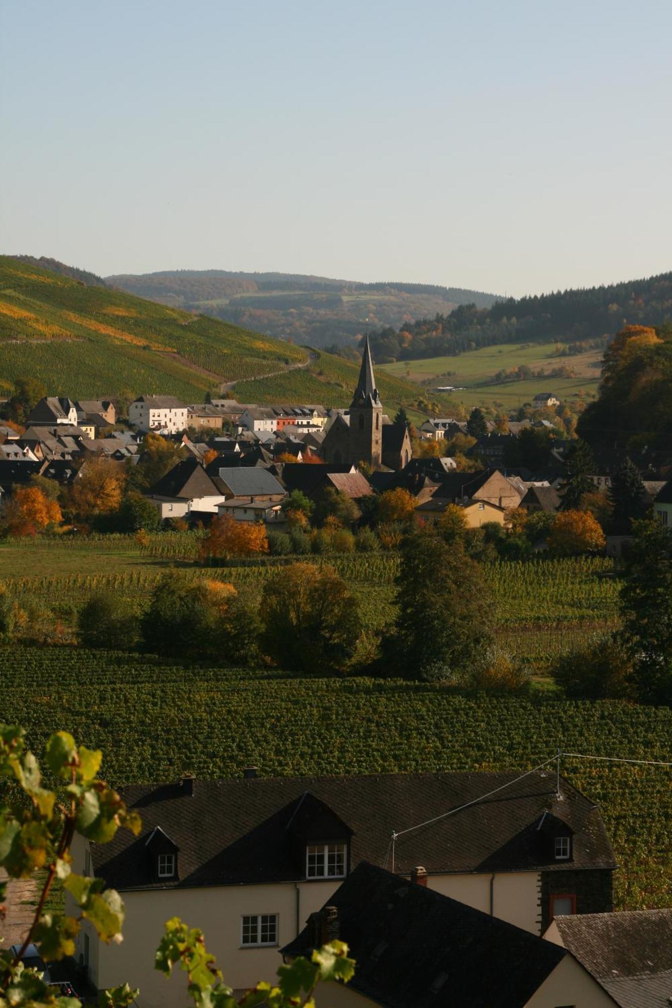 Weingut & Gaestehaus Stephan Kohl Neumagen-Dhron Luaran gambar